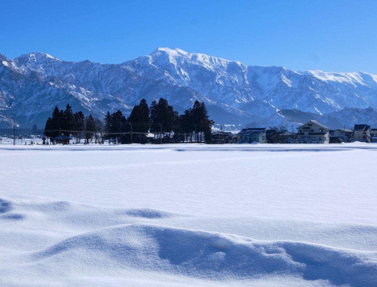 一面雪景色の南魚沼市