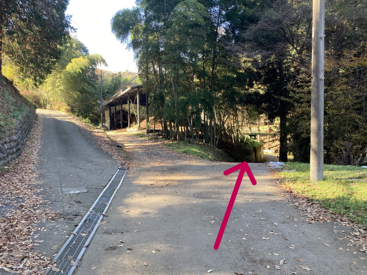 Y字路。左に上り坂があるが、右の下り坂へ進むよう指示がある。