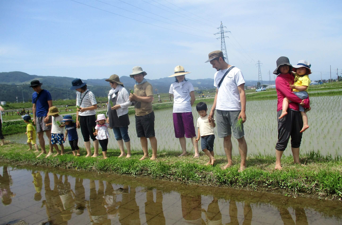 親子で田んぼのあぜ道を歩く