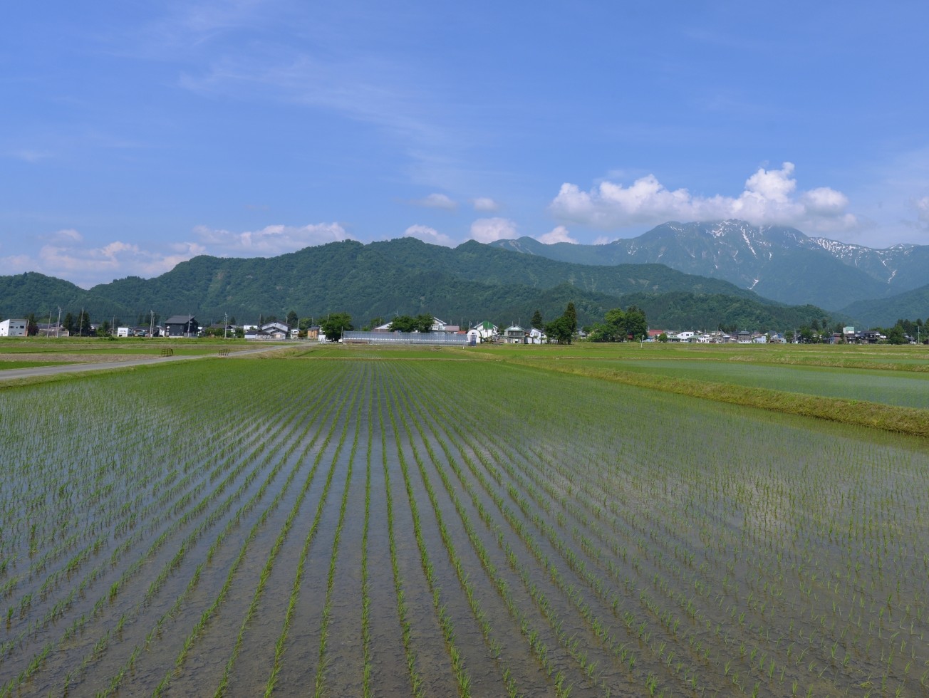 南魚沼市の田園風景