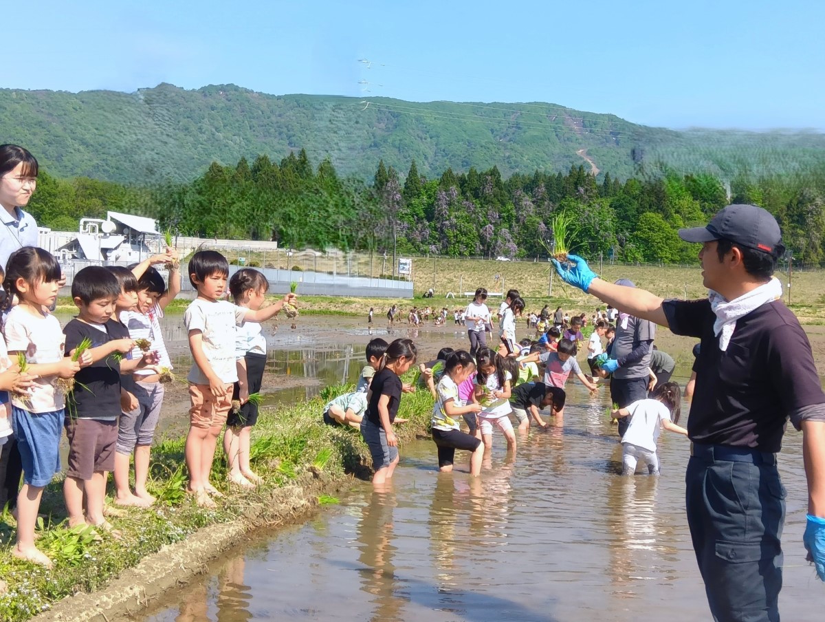 田植えに挑戦する子どもたち