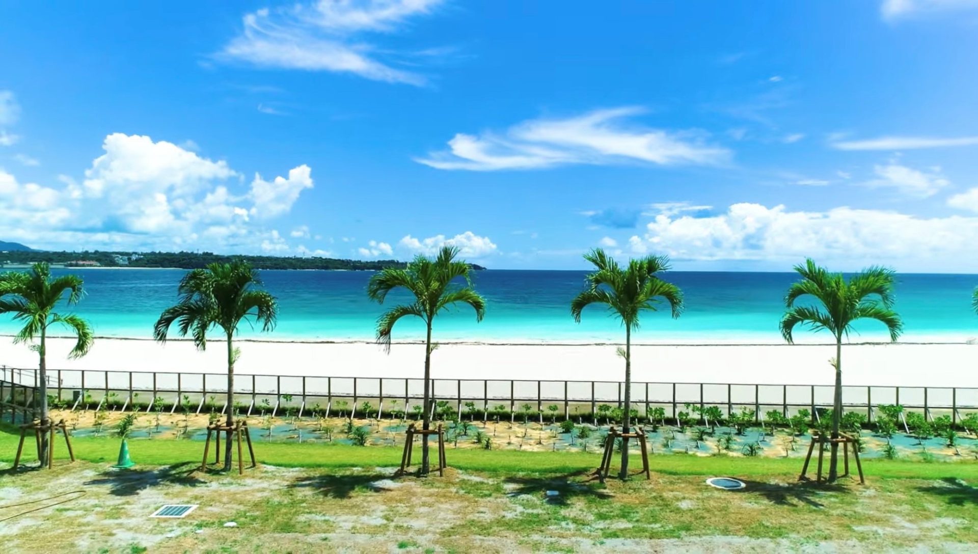 青い海と白い砂浜が広がっている